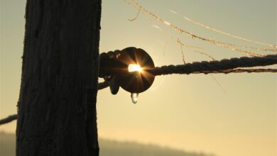 Moin in Bernau und Drumherum - Winter, Wärme, Krisensitzung