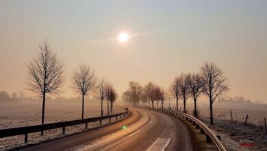 Guten Morgen, Bernau, Barnim und allen Drumherum