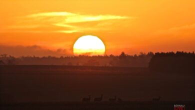 Bernau: Guten Morgen und ein Hauch von Frühling in der Stadt