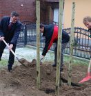 Baum des Jahres: 26 Winterlinden für den Finkenschlag in Ladeburg 5 img_2293