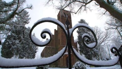 Bernau - Barnim -Ladeburg - Schön, dass Ihr hier seid - willkommen in der neuen Woche