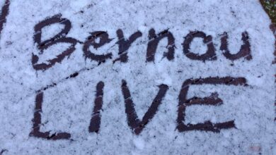 Moin in Bernau und Drumherum, wo ist der Schnee der Nacht hin?