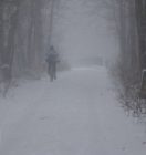 IMG_3614