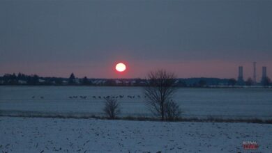 Bernau: Guten Morgen an diesem grauen, kalten und windigen Mittwoch