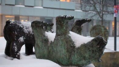 Guten Morgen - da hätte der Schnee ja ruhig noch bleiben können