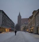 IMG_6138