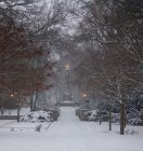 IMG_6150