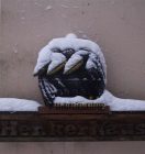 IMG_6160