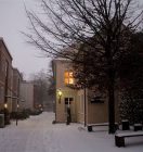 IMG_6162