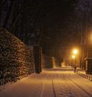 IMG_6212