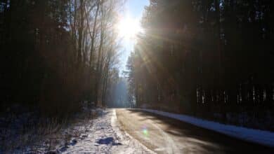 Bernau: Die Sonne kommt raus, Euch einen schönen und entspannten Sonntag