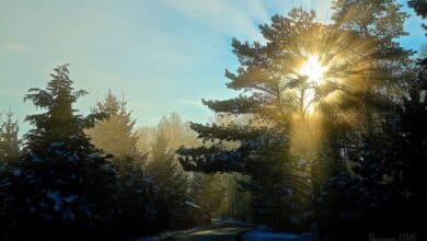 Bernau: Hallo und guten Morgen an diesem sonnigen Wintertag