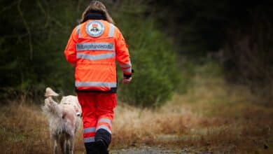 Rettungshundestaffel Barnim ab sofort wieder einsatzfähig