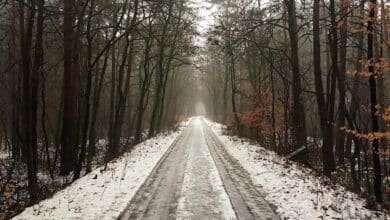 Bernau - Barnim: Guten Morgen und willkommen in der neuen Woche