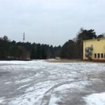 Bernau: Hunderte Bäume werden zur Zeit in Waldfrieden gefällt 6 Bernau: Hunderte Bäume werden zur Zeit in Waldfrieden gefällt