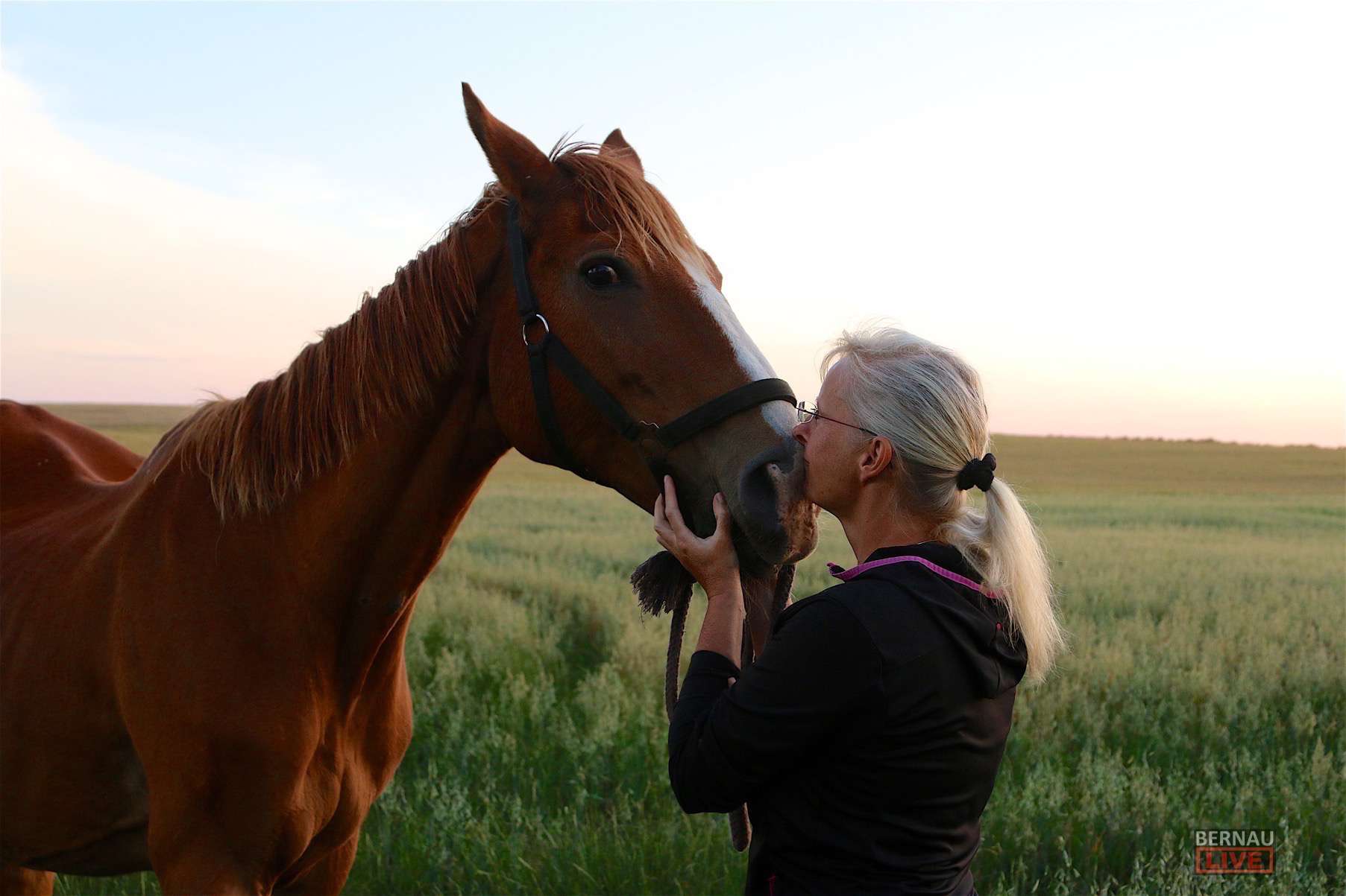 Soraya: Nach überstandenem Blitzschlag nun im Pferdehimmel