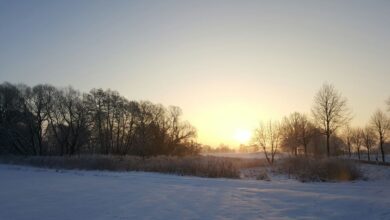 Guten Morgen, #Postkartenwinterwetter in Bernau und Drumherum