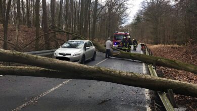 Barnim: Sturmtief "Christoph" sorgte für knapp 60 Feuerwehreinsätze