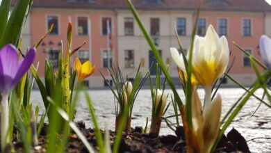 Heute soll der schönste Tag der Woche werden, guten Morgen, Bernau