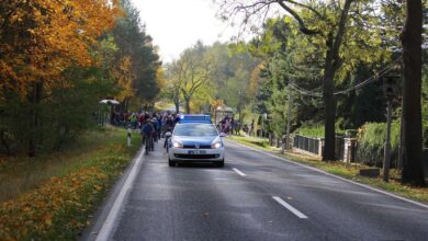 Verschiebt eine Zauneidechse den Radwegebau in Wullwinkel?