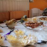 Schönow: Federvieh und Faschingstrubel in der Kita Weltenbummler 2 Bernau LIVE