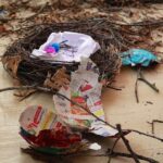 Schönow: Federvieh und Faschingstrubel in der Kita Weltenbummler 8 Bernau LIVE