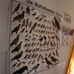 Schönow: Federvieh und Faschingstrubel in der Kita Weltenbummler 11 Bernau LIVE