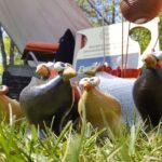 Großer Andrang zum Kunst- und Handwerkermarkt in Bernau 13 Bernau LIVE