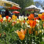 Großer Andrang zum Kunst- und Handwerkermarkt in Bernau 20 Kunst- und Handwerkermarkt, verkaufsoffener Sonntag, Veranstaltungen