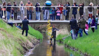 Rathausfest mit spektakulärem Entenrennen in Panketal