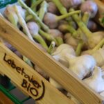 Biesenthal - Lobetal: Besuch in der Molkerei Lobetaler BIO 11 Bernau LIVE