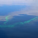 Frühlingsfest der BRH Rettungshundestaffel Barnim in Lobetal 10 Bernau LIVE