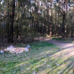 Bernau: Wer bitte entsorgt hunderte Backwaren von Netto im Wald? 2 Bernau: Wer bitte entsorgt hunderte Backwaren von Netto im Wald?