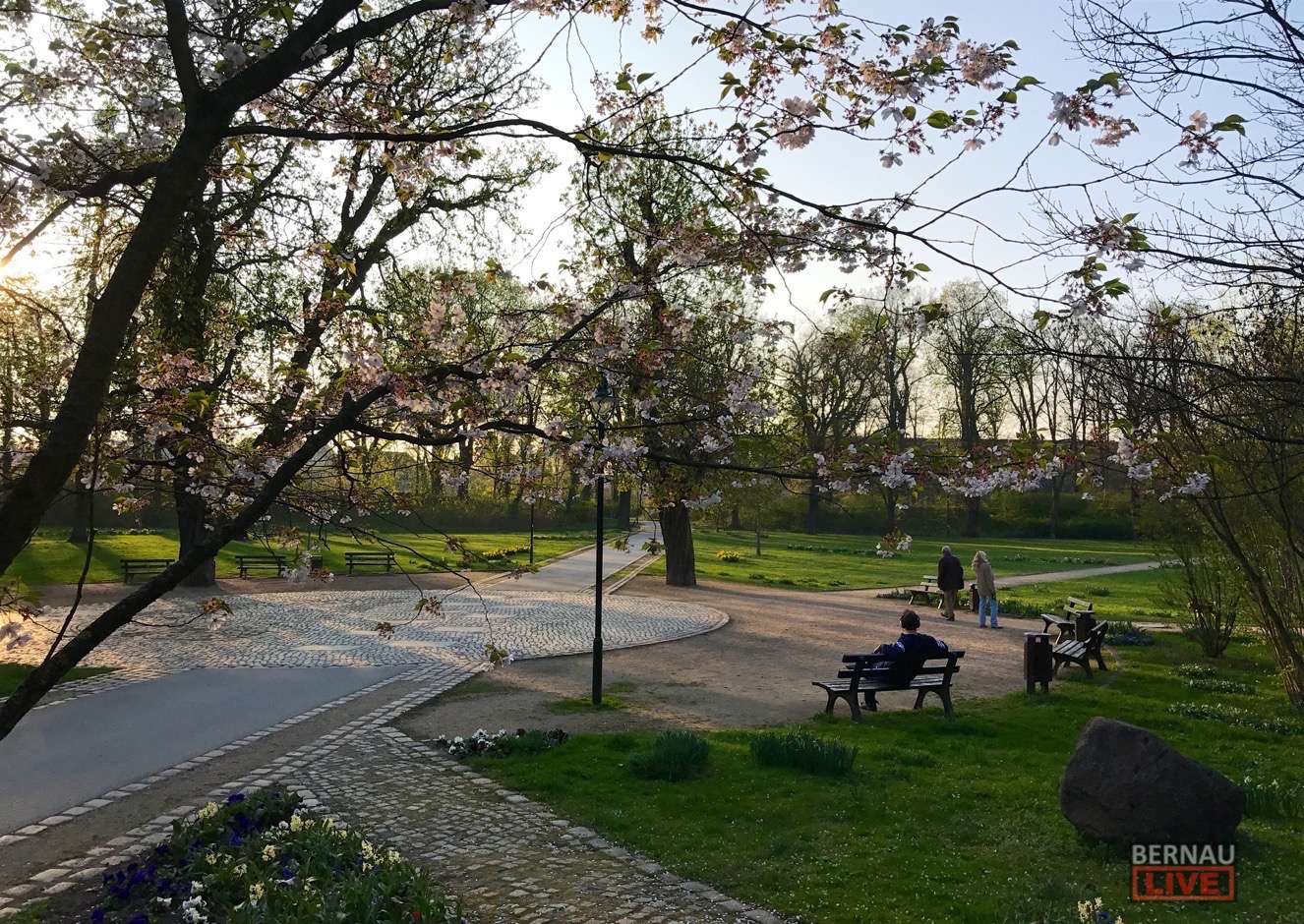 Stadt Bernau lockt mit Prämien zum großen Frühjahrsputz