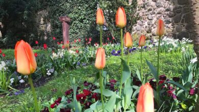 Bernau - Barnim: Guten Morgen und sonnig gute Laune