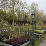 Biesenthal - Lobetal: Besuch in der Molkerei Lobetaler BIO 2 Bernau LIVE