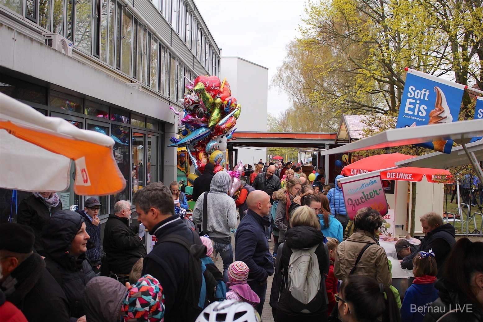Samstag: Rathausfest in Panketal mit Entenrennen und tollen Führungen