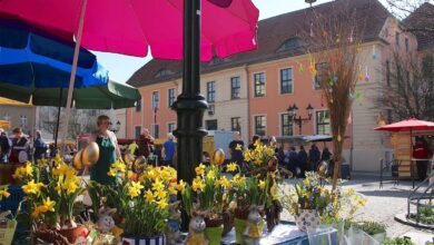 Erster Wochenmark-Spezial in Bernau mit Luft nach oben