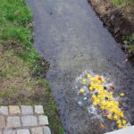 Rathausfest mit spektakulärem Entenrennen in Panketal 30 Bernau LIVE