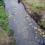 Rathausfest mit spektakulärem Entenrennen in Panketal 29 Bernau LIVE