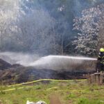 Bernau LIVE - Dein Stadtmagazin