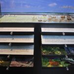 Osterbesuch mit Schatzsuche im Barnim Panorama Wandlitz 5 Bernau LIVE