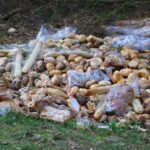 Bernau: Wer bitte entsorgt hunderte Backwaren von Netto im Wald? 4 Bernau: Wer bitte entsorgt hunderte Backwaren von Netto im Wald?