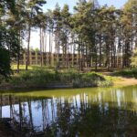Bernau: FESTAKT zur Erweiterung der UNESCO-Welterbestätte Bauhaus 41 Bauhaus Denkmal Bernau: Ein "Schatz" vor den Toren der Stadt?