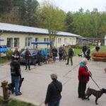 Bernau: "Frühlingsfest" im Tierheim Ladeburg mal anders 3 Bernau: Frühlingsfest im Tierheim Ladeburg mal anders