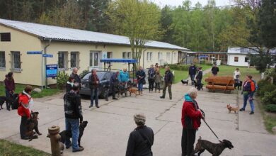 Bernau: Frühlingsfest im Tierheim Ladeburg mal anders