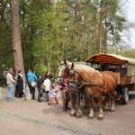 Bernau - Lobetal: Auf den Spuren von Baumeister Gustav Lilienthal 15 Bernau LIVE