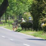 Vermisst: Polizei sucht (e) mit Großaufgebot nach vermisstem Jungen 6 Bernau LIVE