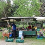 Backofenfest in Danewitz lockte zahlreiche Besucher an 4 Bernau LIVE