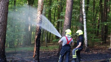Barnim: Wald/Flächenbrand Nahe des Liepnitzsees
